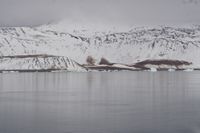 
DSC00208